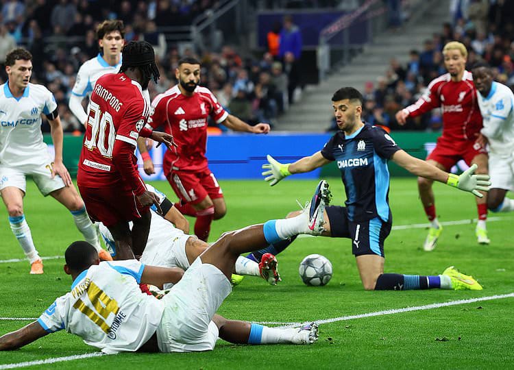 Marseille vs Liverpool Champions League: Brilliant 3-0 Win Sends Reds Into Last-16 Race 2 Marseille vs Liverpool Champions League – Cody Gakpo celebrates Liverpool’s third goal in France